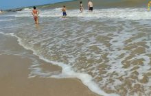 "Море вогонь!": у соцмережах пишуть про зникнення тисяч медуз у курортній Кирилівці (відео)
