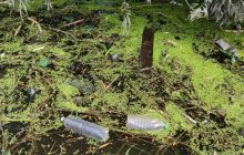 В Днепре женщина провалилась в речку с коляской - ребёнка спас маршрутчик (фото)