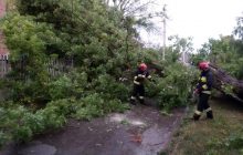 Рівненщину побило градом: по області пронеслася негода (фото, відео)