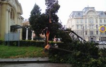В Черновцах второй день подряд мощный ливень затапливает улицы города (фото, видео)