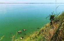 На Хаджибейском лимане под Одессой наблюдается массовый мор рыбы: появились фото