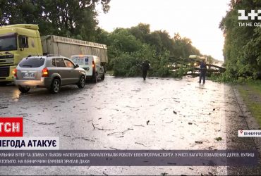 Погода в Украине: по центру и западу страны прокатились бури с грозами