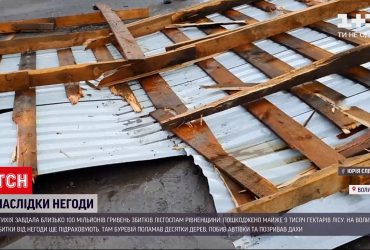 Непогода нанесла ущерб лесхозам Ривенской области примерно на 100 миллионов гривень