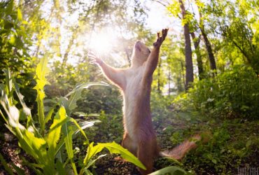 Температурні контрасти лише посиляться: яка погода чекає на українців сьогодні (карта)