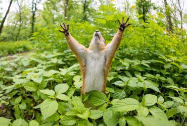 Спека до +38°, потужні зливи та посуха: синоптик збентежив українців прогнозом на серпень