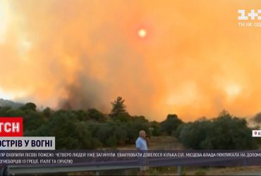 На Кипре из-за жары горят леса - 4 человека погибли