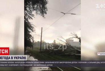 У Черкасах дощовою водою затопило багатоповерхівку, а Житомирі на чоловіка впало дерево