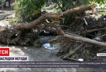 На Закарпатті і досі не знайшли зниклого у водах чоловіка, який рятував коня