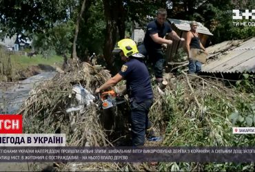 В Україні 130 населених пунктів через негоду залишилися без світла