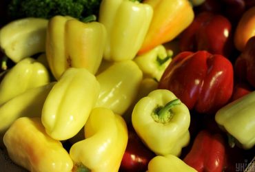 На МКС начали выращивать перец