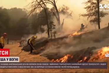 10 штатів на заході США охопили лісові пожежі