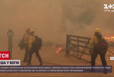 Американські рятувальники не в змозі подолати лісові пожежі на заході США