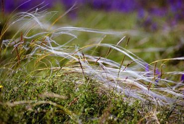 Сьогодні в частині України зміниться погода: чого очікувати (карта)