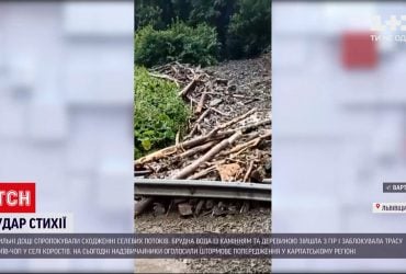 169 населених пунктів знеструмлено в трьох областях через негоду за останню добу