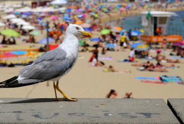 Названо три звички туристів, які всіх дратують: перевірте себе