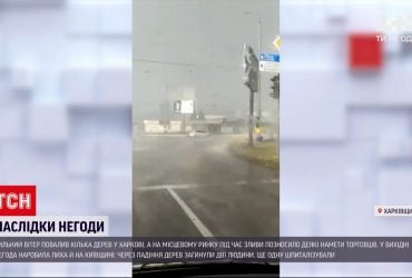 Харковом пронеслася потужна злива