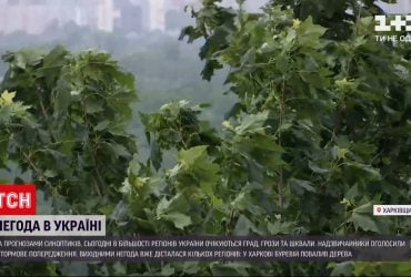 Синоптики прогнозують дощі із грозами у більшості регіонів України