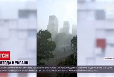 У Харкові вітер повалив дерева, а на Закарпатті на дорогу зійшли селеві потоки