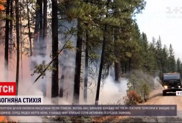 У Сполучених Штатах полум'я вже знищило більше 160 тисяч гектарів насаджень