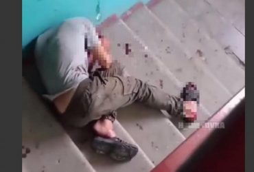 У Харкові оскаженілий пес пошматував двох людей просто у під’їзді (відео)