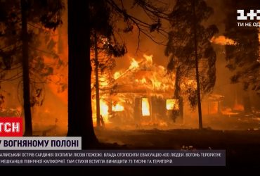 Сардинию охватили лесные пожары, почти 4 сотням людей пришлось покинуть дома