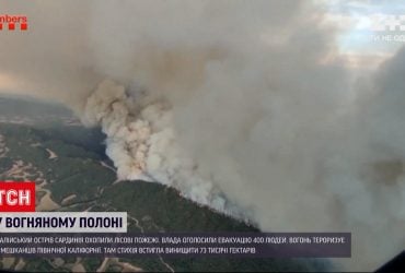 В Испании горят леса - пламя охватило несколько регионов