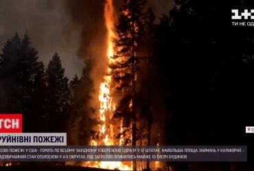 В США пылают леса сразу в 12 штатах