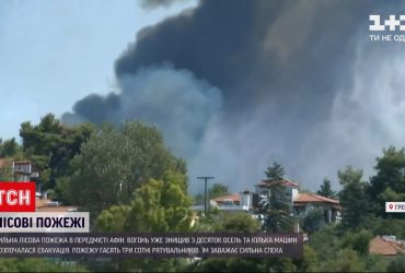 У передмісті Афін горять ліси, вогонь впритул наблизився до людей