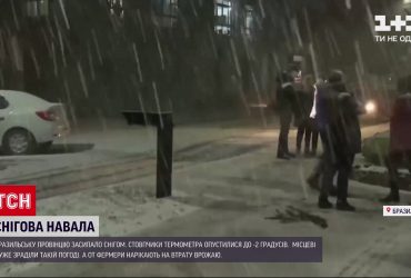 Бразилію вкрило снігом