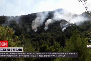 На півночі Лівану палають ліси