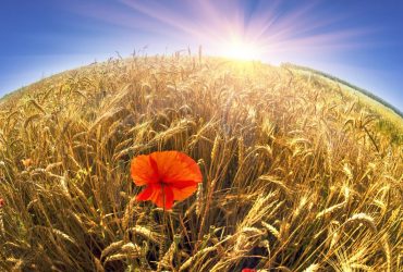 Синоптик розказала, де та коли до України повернеться 30-градусна спека