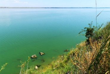 На Хаджибейському лимані під Одесою спостерігається масовий мор риби: з'явилися фото