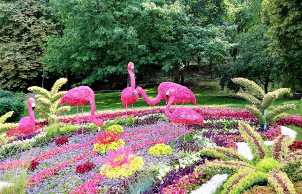 Планета диких животных: на Певческом поле в полном разгаре ежегодная выставка цветов (фоторепортаж)