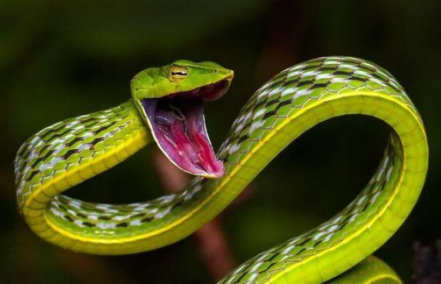 16 липня 2021 - яке сьогодні свято, прикмети та іменинники, що сьогодні не можна робити