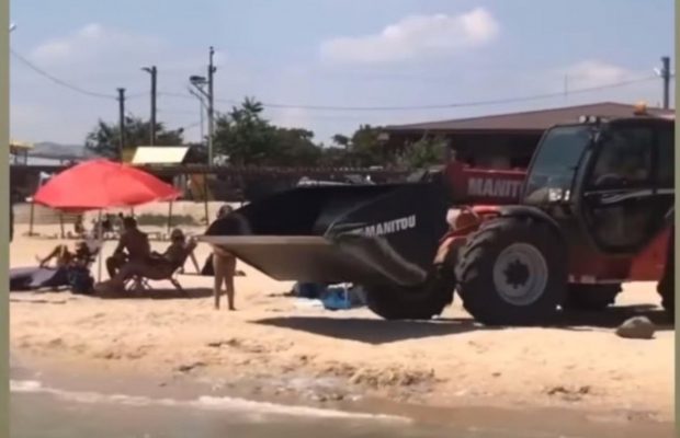 Неможливо підійти до води: на Азовському морі пляж від мертвих медуз чистять навантажувач (відео)