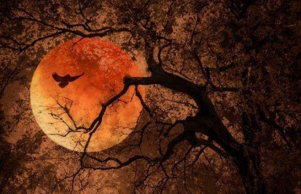 Фатальний повний місяць у липні: сьогодні вплив небесного світила відчують всі