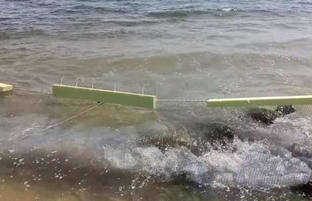 Тисячі медуз потрапили у пастку: у Кирилівці розставили бар'єрні сітки – навіщо вони і як працюють (відео)