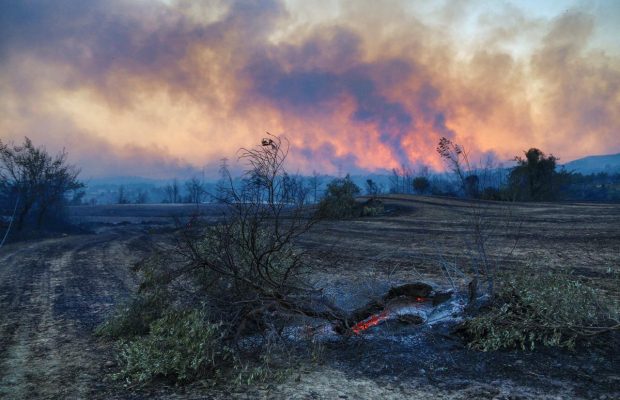 Масштабні лісові пожежі в Туреччині: стало відомо, чи планується евакуація українців