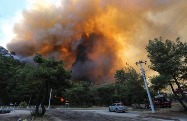 Президент Туреччини оголосив райони лісових пожеж зонами лиха (фото, відео)