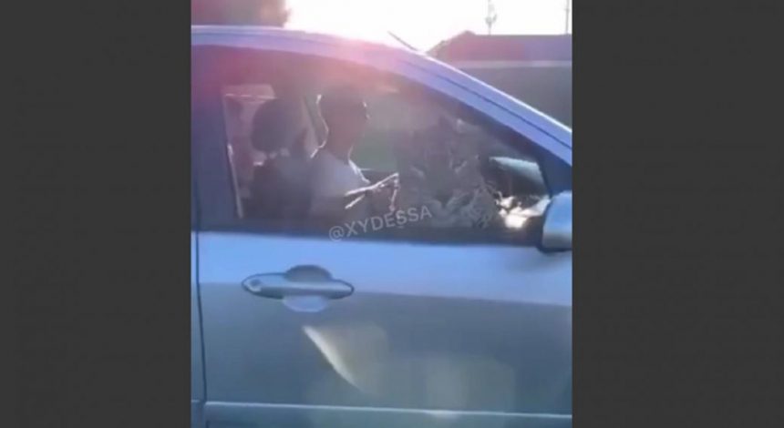 В Одессе заметили леопарда на пассажирском сиденье авто (видео)