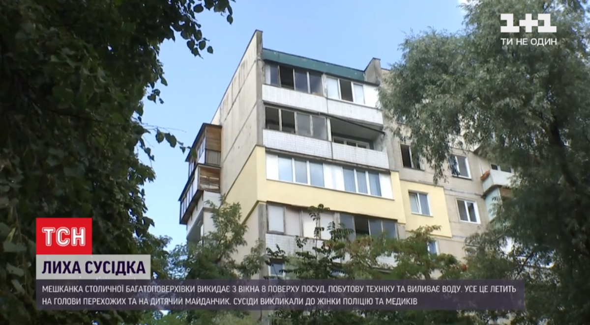 Песіонерка кидає з вікон різноманітні речі / скріншот Песіонерка кидає з вікон різноманітні речі / скріншот
