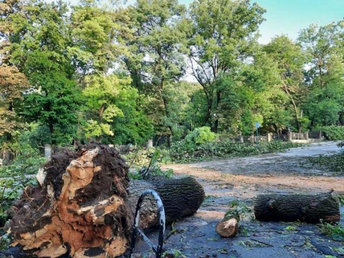 Ураган в Каменце-Подольском наделал беды / фото Каменец - Подольский городской совет