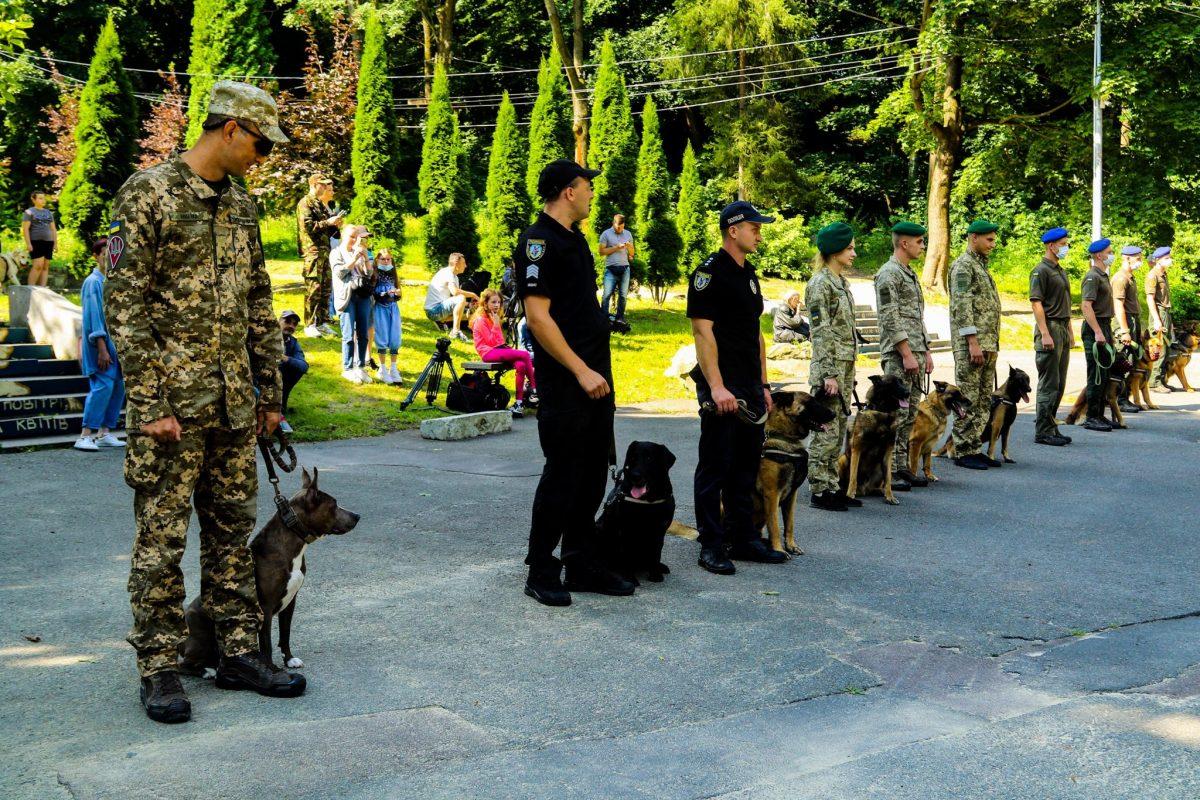 Собакам, которые не смогли приехать на парад, посвятили большой баннер, на котором написали короткие истории о животных / фото armyinform