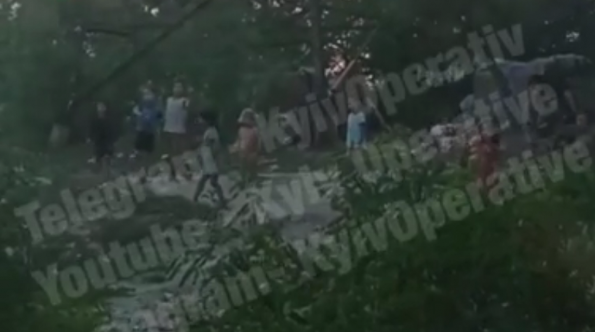 Ромы принудительно остановили пассажирский поезд в Киеве - соцсети / скриншот Ромы принудительно остановили пассажирский поезд в Киеве - соцсети / скриншот