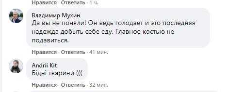 скриншот скриншот