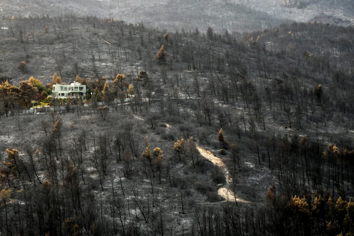 В Греции продолжают полыхать лесные пожары / фото REUTERS В Греции продолжают полыхать лесные пожары / фото REUTERS