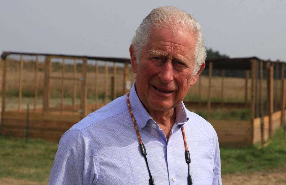 Принц Чарльз привітав принцесу Анну / фото instagram.com/clarencehouse Принц Чарльз привітав принцесу Анну / фото instagram.com/clarencehouse
