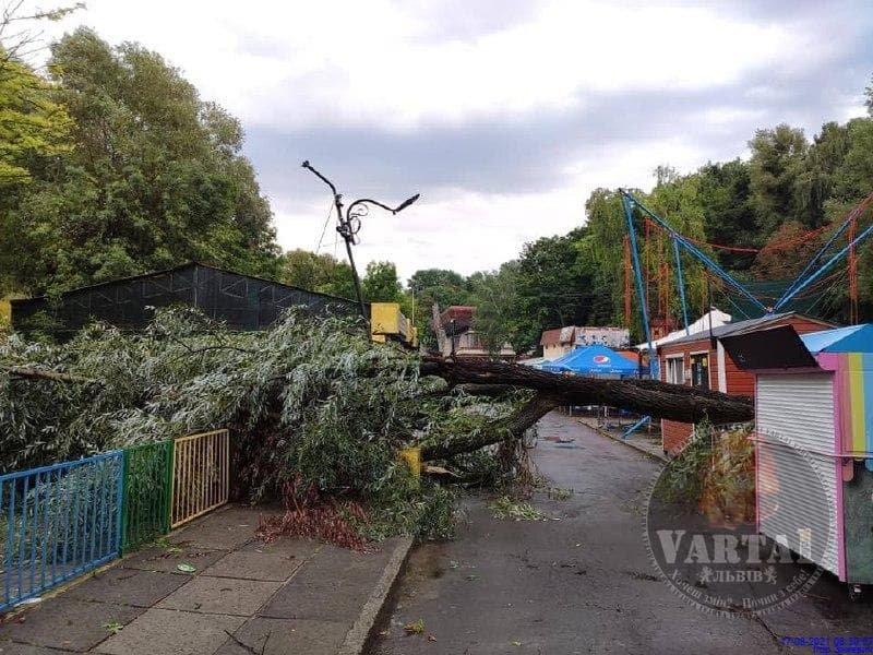 Буревій у Львові наробив шкоди / фото Варта-1 Буревій у Львові наробив шкоди / фото Варта-1