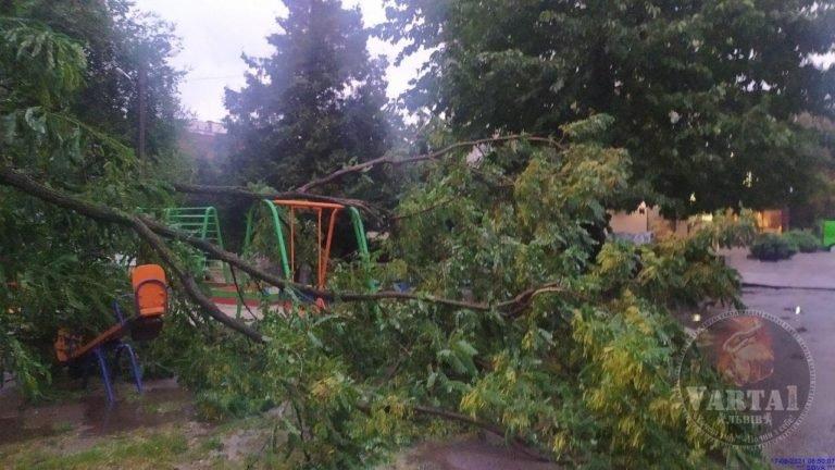 У Львові внаслідок негоди повалені майже 30 дерев / фото Варта-1 У Львові внаслідок негоди повалені майже 30 дерев / фото Варта-1