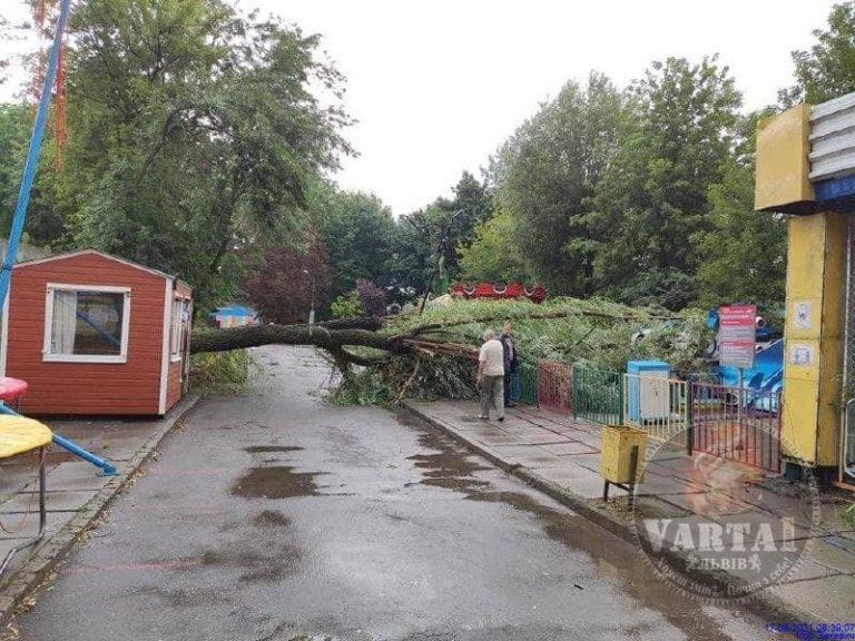 Дерево у Львові впало на атракціони у Парку культури / фото Варта-1 Дерево у Львові впало на атракціони у Парку культури / фото Варта-1